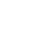 dollar icon
